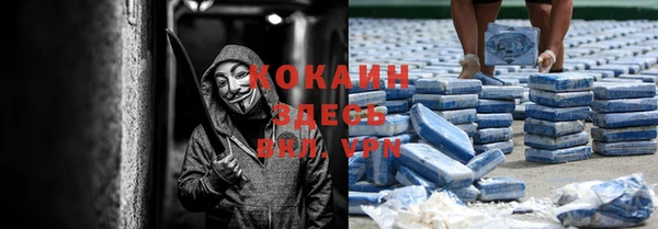 apvp Новозыбков