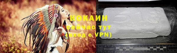 apvp Новозыбков