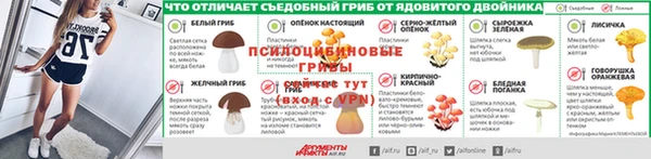 эйфоретик Новодвинск