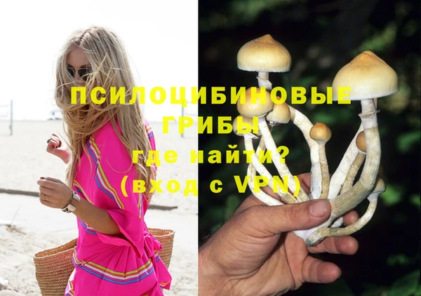 apvp Новокубанск
