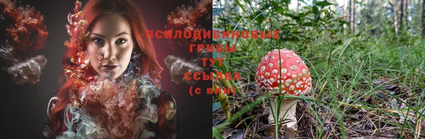эйфоретик Новодвинск