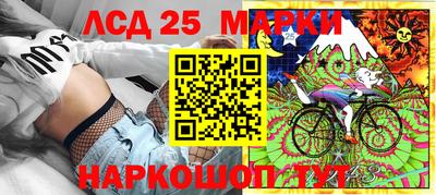 гашик Будённовск