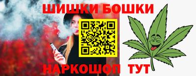 индика Заводоуковск