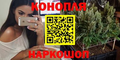 гашик Будённовск