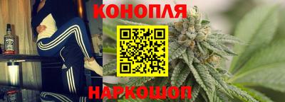 гашик Будённовск