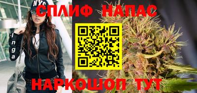 Альфа ПВП Заволжье