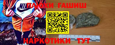 гашик Будённовск