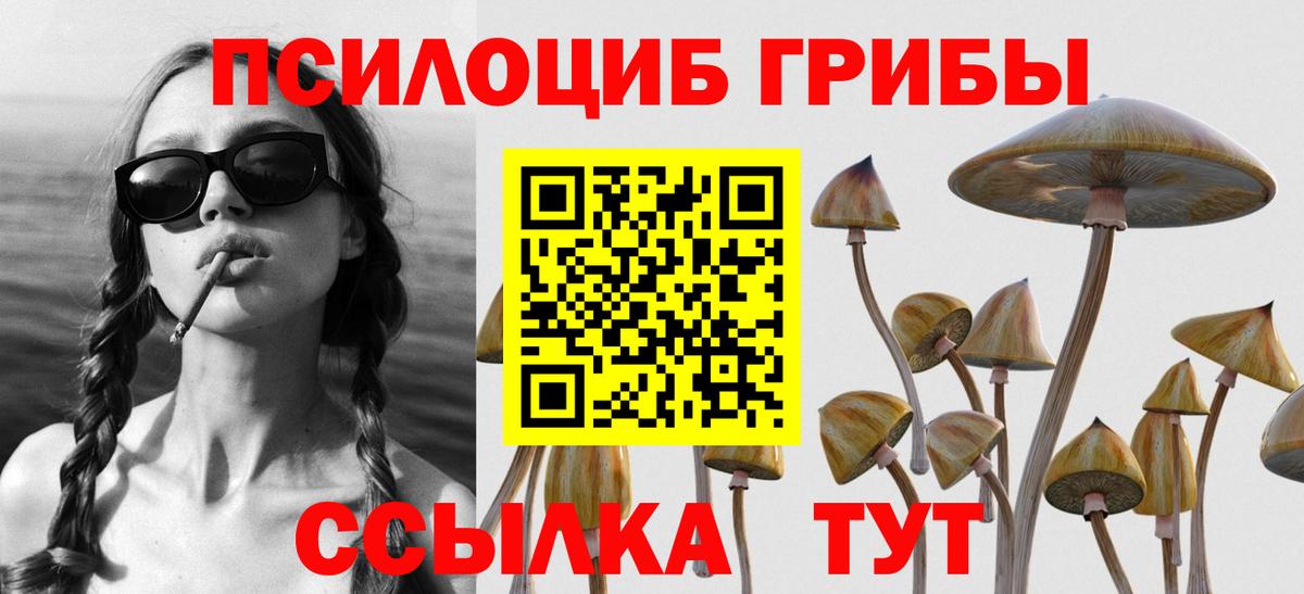 цены наркотик  Вход с VPN  Псилоцибиновые грибы Cubensis  Кувандык  Псилоцибиновые грибы Cubensis 